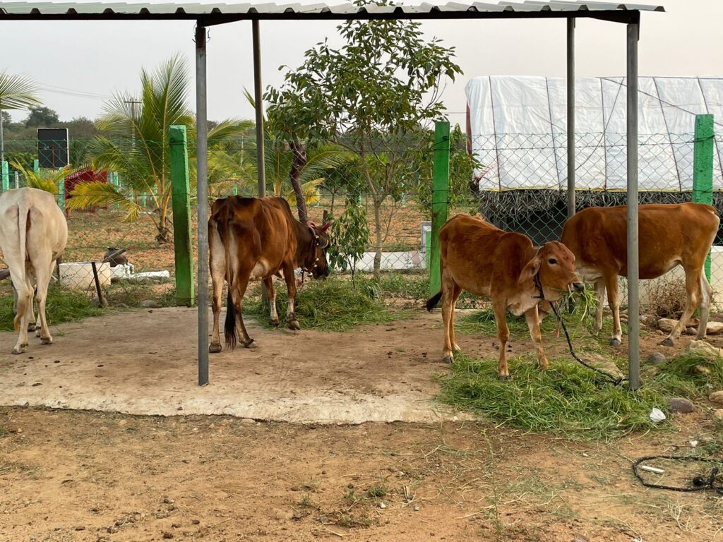 Farm Land in Thakkolam